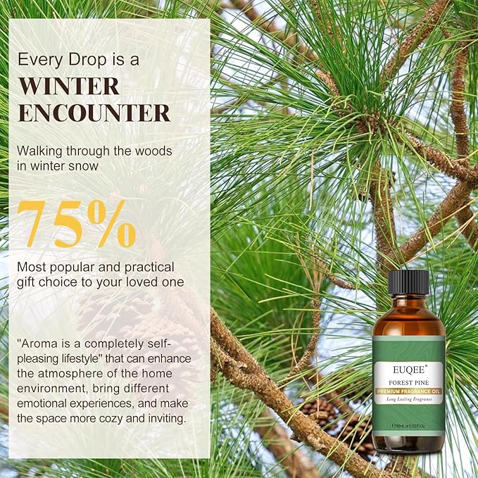 EUQEE Forest Pine Fragrance Oil Premium Fragrance Essential Oil 2.02 Fl oz with Glass Dropper for Diffusers, Soap Making, DIY Candle (60ml)