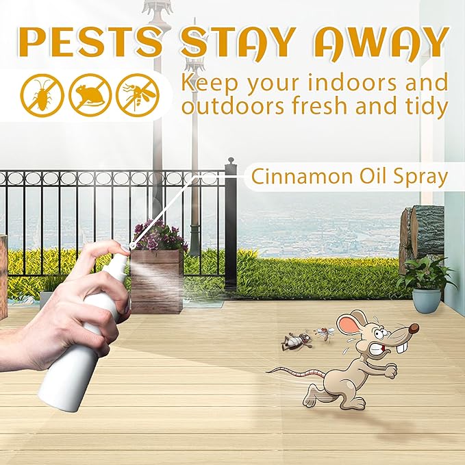 EVOKE OCCU Cinnamon Essential Oil - Warm Fall Scent for Diffuser, Spray, Soap, Candles, Hair & Skin Care - 4 Fl Oz