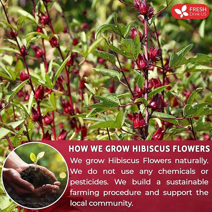 FreshDrinkUS, Premium 21oz Hibiscus Flowers, 100% Natural & Pure from Hibiscus Flowers, Hibiscus Flower Herbal Tea, No Additives, No Caffeine, Vegan