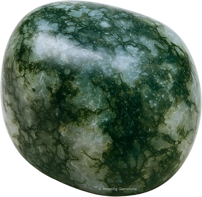 Amazing Gemstone Moss Agate Crystals and Healing Stones Tumbled - 1 oz Moss Agate Stones, Healing Stones for Energy Balance, Stress Relief - Premium Polished Gems Rocks for Meditation & Wellness