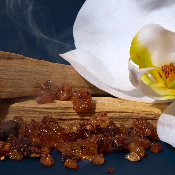 Bright Spot Night at the Disco Car Fragrance - Premium Car Hanging Air Freshener, Long-Lasting Fragrance for Auto and Home | Sultry & Woody | Amber, Cedar, Mahogany, Musk | Vegan & Cruelty Free