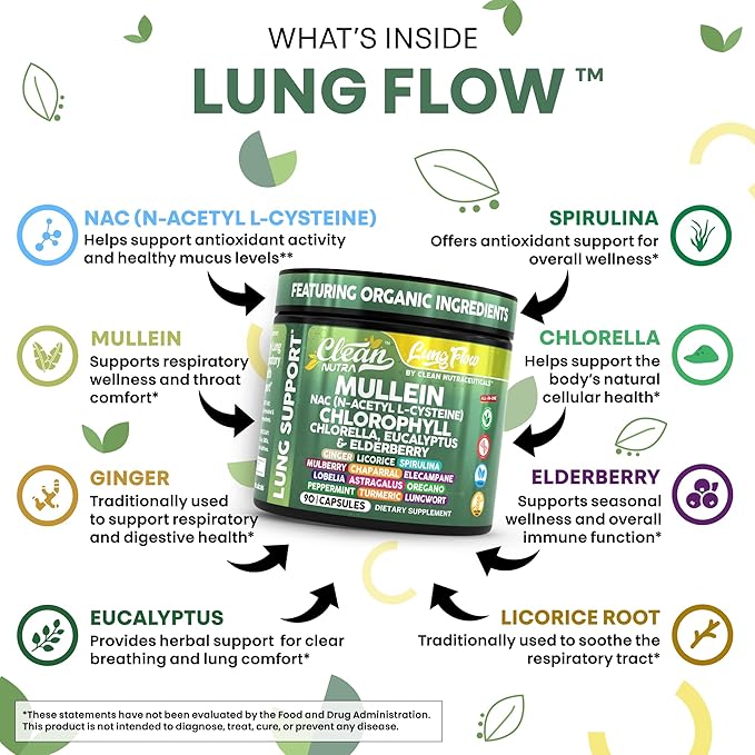 Clean Nutra Mullein Leaf Extract for Lungs Cleanse NAC Supplement Chlorophyll Chlorella Elderberry | Lung Detox for Smokers | Ginger Licorice Astragalus Oregano Turmeric Respiratory Support Capsules