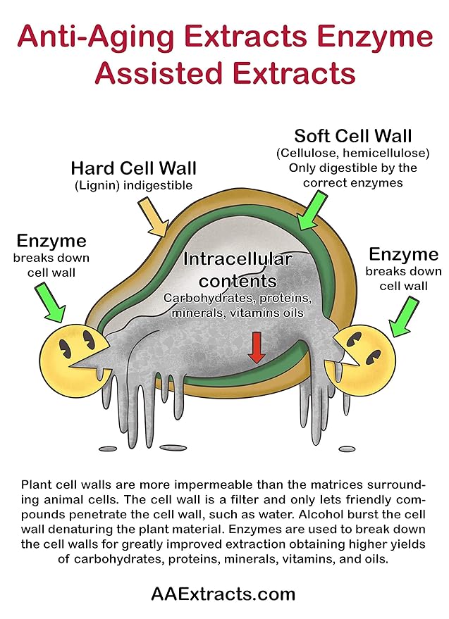 Pure Green Tea Extract for Skin and Hair – Cold-Processed Antioxidant, Polyphenol & EGCG Serum with USDA Organic Leaves – Natural - Alcohol-Free - 8 fl oz