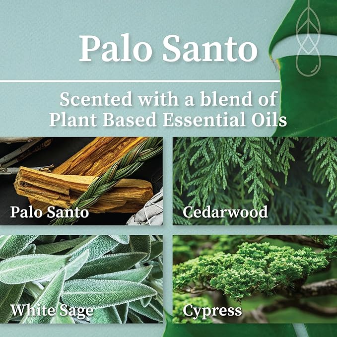 Hemlock Park Apothecary Wood Wick Candle Trio | Gift Set of Three 4 oz Candles Handcrafted with Natural Coconut Wax (High Desert | Palo Santo, Sage, High Desert)