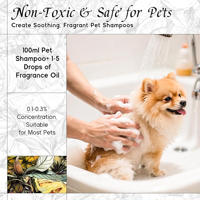 HIQILI Mint Bergamot Matins Fragrance Oil - 1 Fl Oz