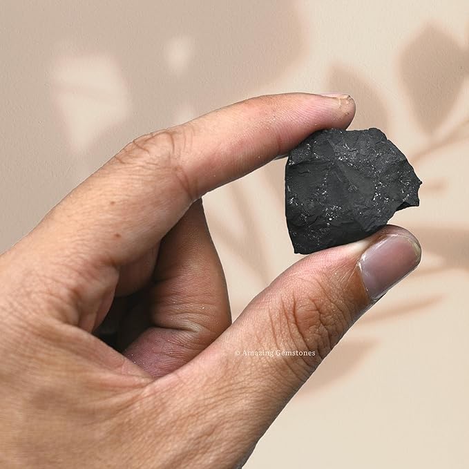 Amazing Gemstone 2 Pieces Shungite Raw Crystals and Healing Stones, Natural Rocks for Tumbling and DIY Raw Stones and Crystals