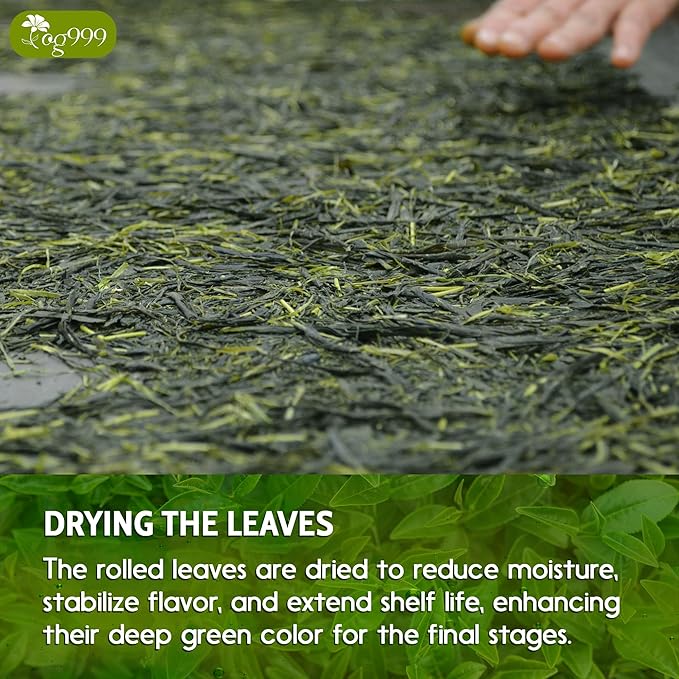 TOG999, Premium 60 Sencha Green Tea Bags, 100% Natural & Pure from Sencha Green Tea Leaves. Loose Leaf Sencha Herbal Tea. No Sugar, No Gluten, Vegan.