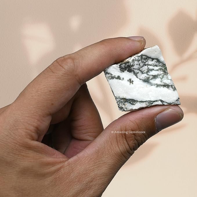 Amazing Gemstone 2 Pieces Tree Agate Raw Crystals and Healing Stones, Natural Rocks for Tumbling and DIY Raw Stones and Crystals