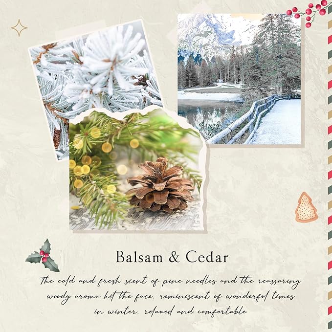 Reed Diffuser Set, 6.7 Oz Balsam & Cedar Scented Oil Diffuser with Sticks, Decorative Air Freshener for Home Bathroom Shelf