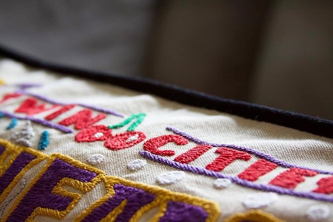 Catstudio Minneapolis & St. Paul Embroidered Decorative Throw Pillow