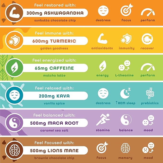 Feel Vegan Protein Bars | Variety Pack | Keto | Gluten Free | Organic | 15g Protein | Low Carb | Dairy Free | 6 Flavors | Non GMO | Soy Free | Grain Free – 6 Pack