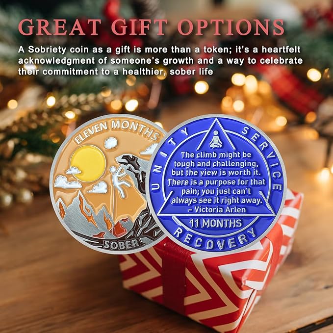 11 Month Sobriety Coin Sobriety Chips AA Chip AA Coins Sober Token Recovery Medallion NA Chips NA Coins from 1 to 12 Months Plastic case Included-Baking Paint Process