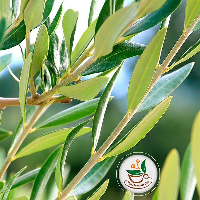 TeaDreamTea Lemongrass Tea Bags - Supports Healthy Digestion - Premium Quality Herbal Tea - Caffeine Free Tea - Enjoy It Hot Or Cold Bulk Tea Bags