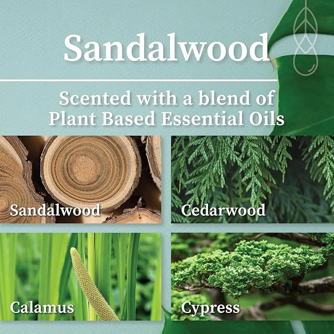 Hemlock Park Wood Wick Candle Handcrafted with Natural Coconut Wax and Essential Oils (Amber & Gold 7.2 oz, Sandalwood)