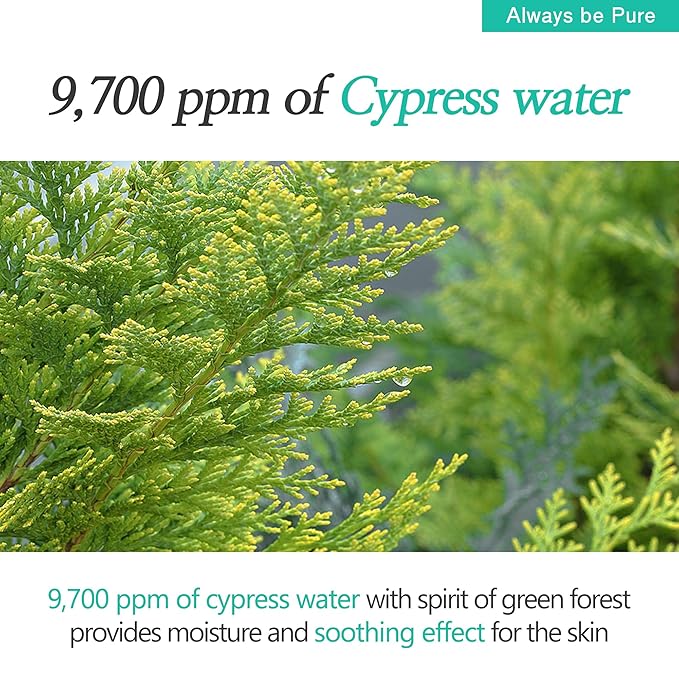 Forest Therapy Ultra Calming Cream Soothing Moisturizer for Sensitive, Acne-Prone Skin - Redness Relief, Deep Hydration, Trouble Care - Korean Skin Care 2.70 Oz