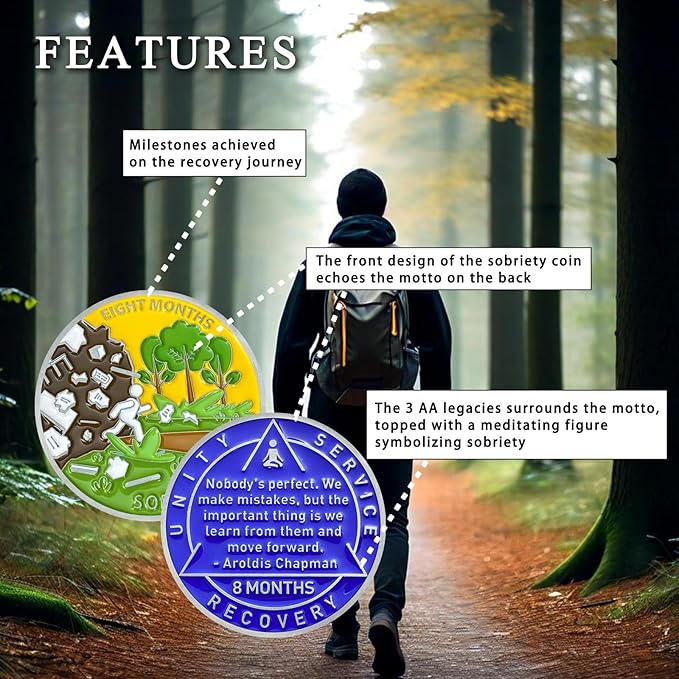 8 Month Sobriety Coin Sobriety Chips AA Chip AA Coins Sober Token Recovery Medallion NA Chips NA Coins from 1 to 12 Months Plastic case Included-Baking Paint Process