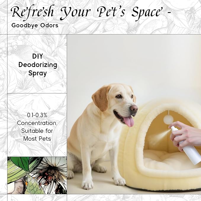 HIQILI Aqueous Bloom Fragrance Oil for Diffusers, Black Currant Leaf‌ & Jasmine, Candles & Soap Making, Long-Lasting Scent - 5.07 Fl Oz