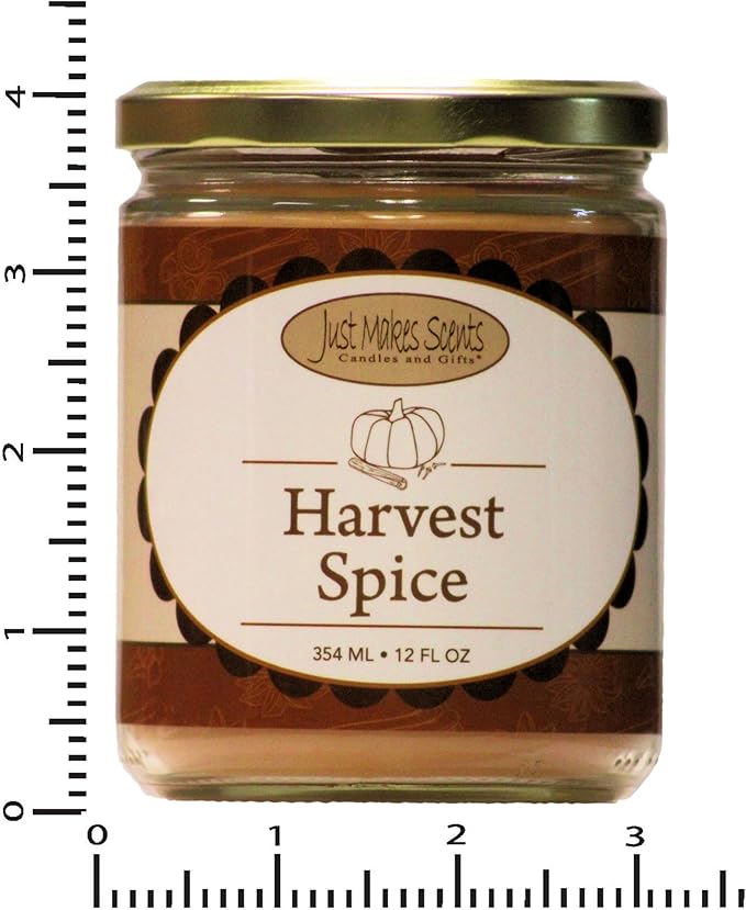 Harvest Spice Scented Candles | Amazing Fall Fragrance by Just Makes Scents (12 oz)