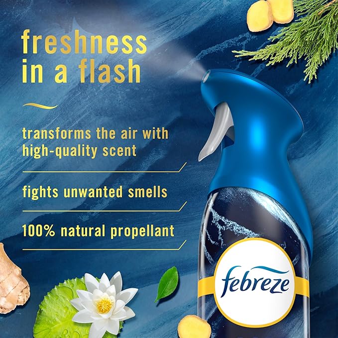Febreze Air Mist Air Freshener Spray, Odor-Fighting Room Spray, Air Fresheners for Home and Bathroom and Kitchen, Aerosol Can, Ocean Scent, 8.8oz, 1 Count