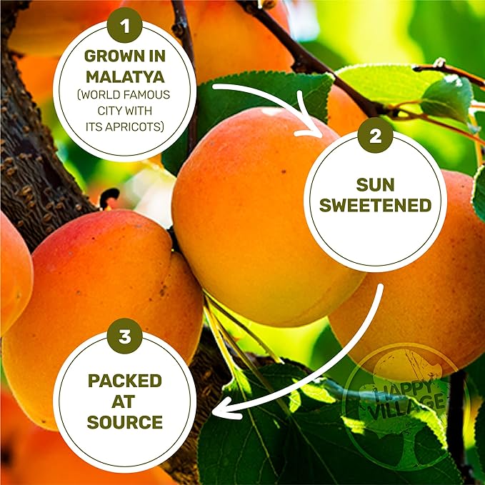 Happy Village Organic Turkish Dried Apricots, No Sugar Added Dried Fruit, 40 OZ Resealable Pack - Kosher, Non-GMO, Unsweetened, Unsulfured, Vegan Sun-Dried Apricot