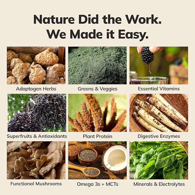 Ka’Chava Whole Body Meal Shake Chocolate, 5-count Travel Size Sachets – Vegan Protein Powder with 85+ Superfoods & Greens – Plant-Based Meal Replacement with Probiotics & Digestive Enzymes – Gluten & Dairy Free (5 Servings)