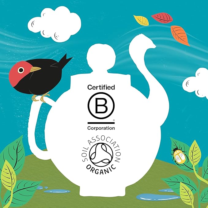 Clipper Tea, Orange & Turmeric, Organic Tea with Licorice Root, Orange Peel and Hibiscus, Plant Based Herbal Tea, Caffeine Free British Tea, 1 Pack, 20 Unbleached Tea Bags