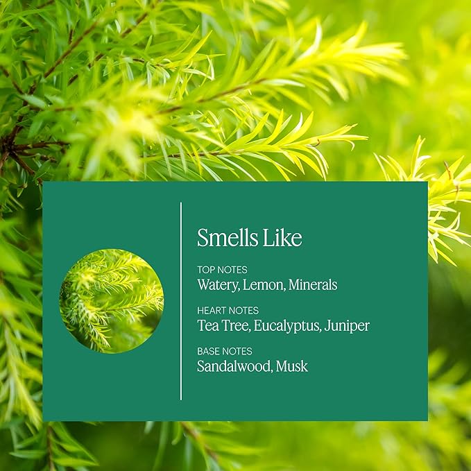 Aera Home Hygiene Tea Tree and Juniper - Essential Oil for Home - Calming Fragrance - Notes of Tea Tree, Juniper and Sage Essential Oils - Scent Refill - Capsule Size Works with Mini Diffuser