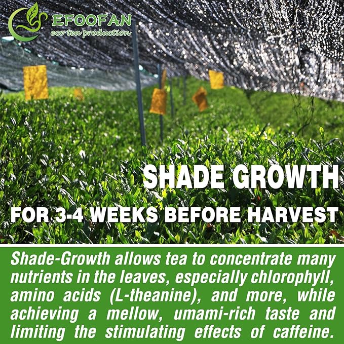 EFOOFAN Ceremonial Grade Matcha Green Tea Powder- (113g/4oz) - USDA/JAS/EC Certified Organic Matcha Lette, Pure Natural and Unsweetened, Chinese Premium Macha