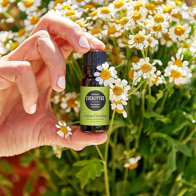 Edens Garden Eucalyptus- Lemon Essential Oil- 100% Pure Premium Grade, Undiluted, Natural, Therapeutic, Aromatherapy, The Best for Diffuser, Candle, Laundry, Humidifiers 10 ml (.33 fl oz)