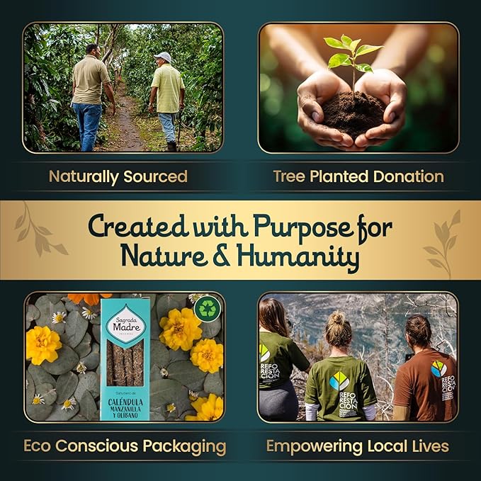 Sagrada Madre Chamomile Incense Sticks - 9 Extra Long Rods for Abundance, Peace, Love & Protection - Infused with Natural Calendula, Frankincense & Essential Oils - 50-Minute Burn Time for Meditation