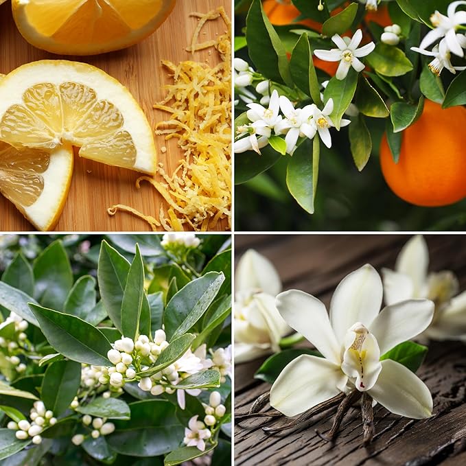 Aroma from Nature Wellness Collection Candle, 12 oz, 2 Cotton Wicks, Neroli Blossom, Large Painted Jar