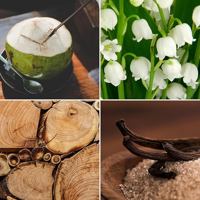 Aroma from Nature Wellness Collection Candle, 12 oz, 2 Cotton Wicks, Vanilla Woods, Large Painted Jar