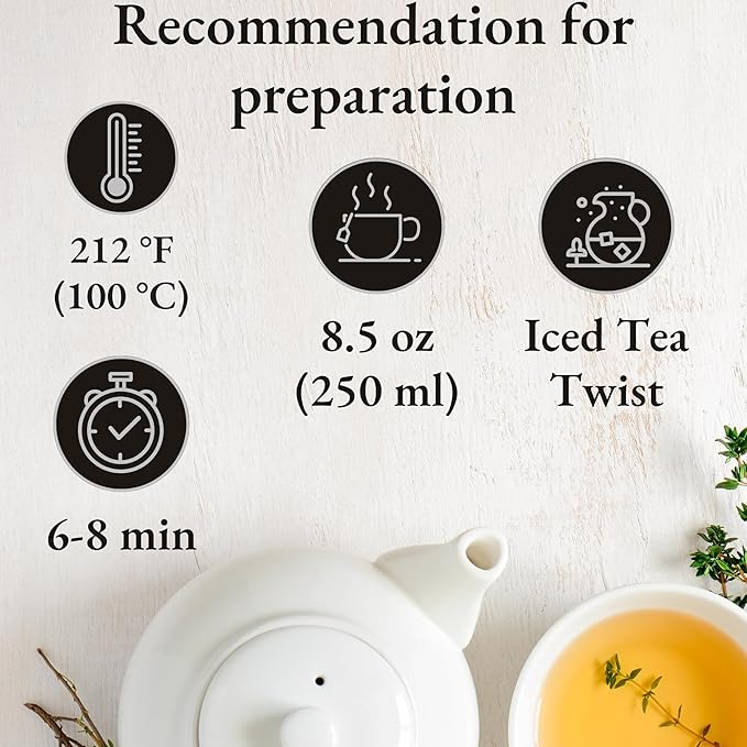 Biogena Tea2O Tea Assortment Gift Box, Flavored Fruit Tea Sampler Gift Set Box- (6x10 Tea Bags Variety Pack)