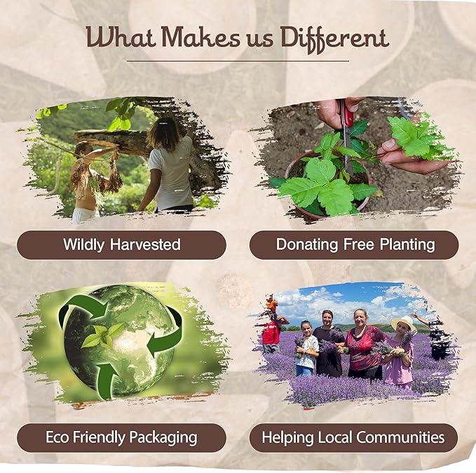 Sagrada Madre Incense Burner, Triangular Sahumador - Hand-Carved Cement Incense Holder, Ash Catcher for Sticks, Cones, Bombs & Smudges - 1 Piece, Perfect for Smudging, Yoga, and Meditation Accessories