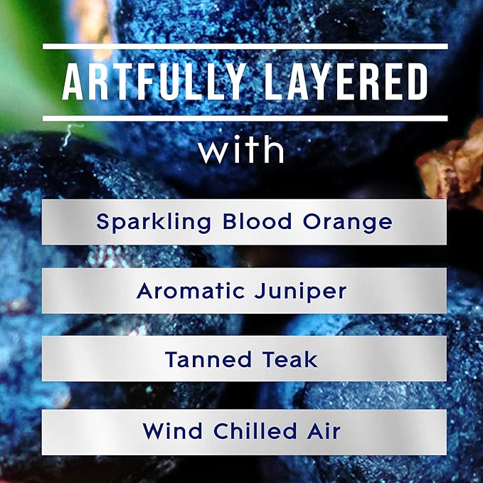 Glade PlugIns Refills Air Freshener, Scented and Essential Oils for Home and Bathroom, Juniper & Teak, Fresh Collection 3.35 Fl Oz, 5 Count