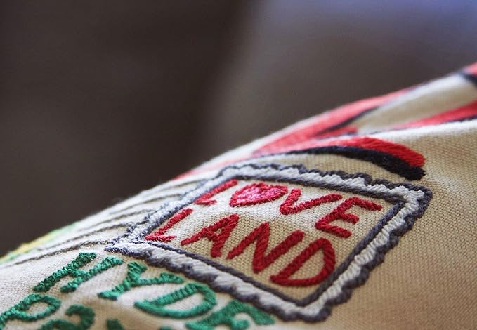 Catstudio Cincinnati Embroidered Decorative Throw Pillow