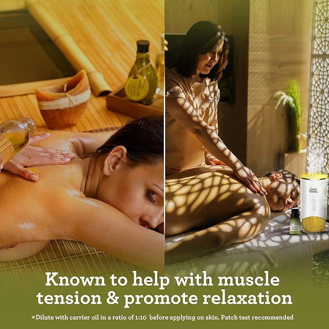 GuruNanda Lemongrass Essential Oil, 100% Pure, Natural and Undiluted Diffuser Oil for Aromatherapy, Massages & DIY Recipies, for Rejuvenation (2X0.5 fl Oz)