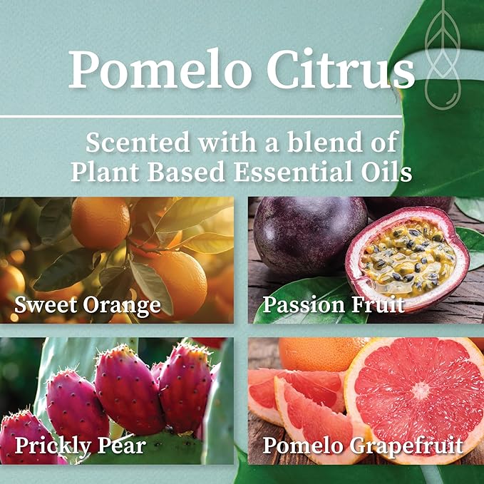 Hemlock Park Apothecary Wood Wick Candle Trio | Gift Set of Three 4 oz Candles Handcrafted with Natural Coconut Wax (Citrus | Pomelo, Yuzu Citrus, Blood Orange Sage)