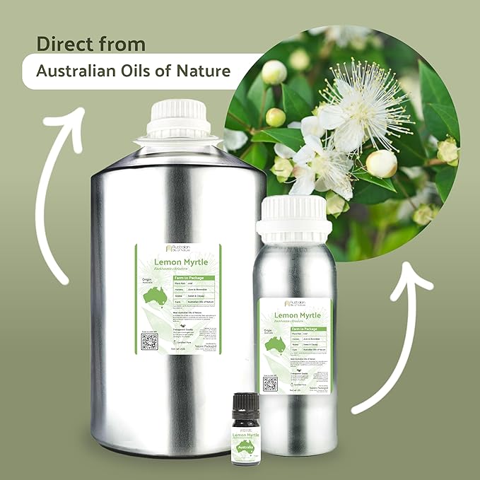 Lemon Myrtle Essential Oil - Experience an Invigorating, Fresh Citrus Aroma - Pure, Undiluted Therapeutic Grade Essential Oil - 8 oz
