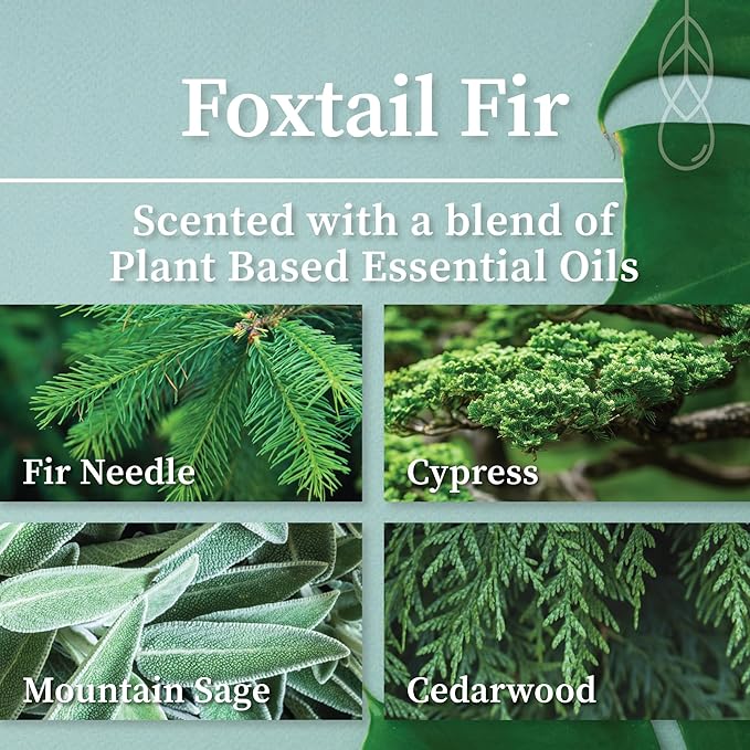 Hemlock Park Wood Wick Candle Handcrafted with Natural Coconut Wax and Essential Oils (Amber & Gold 7.2 oz, Foxtail Fir)