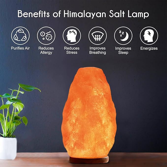 Himalayan Glow Salt Lamp with Touch Dimmer Switch 5-7 lbs