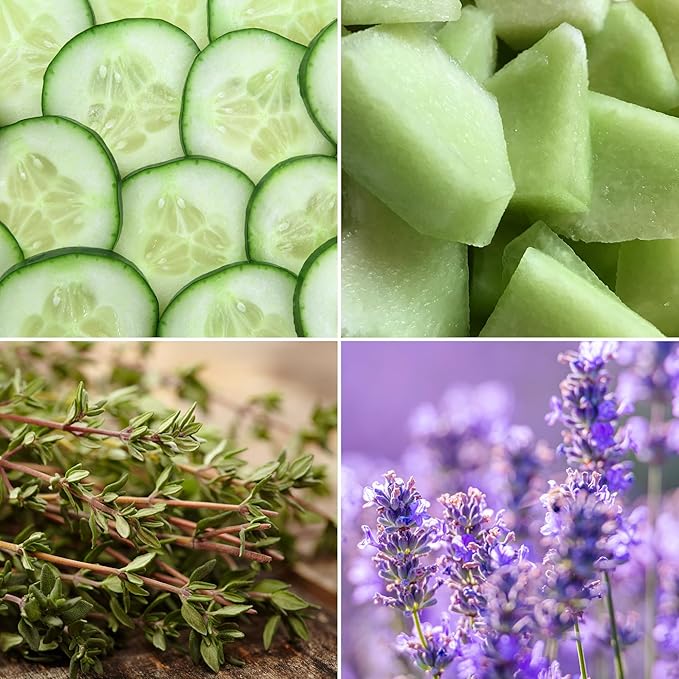 Aroma from Nature Wellness Collection Candle, 12 oz, 2 Cotton Wicks, Cucumber Thyme, Large Painted Jar