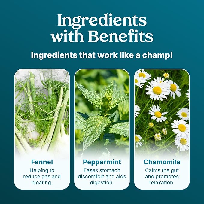 Poop Like A Champion Gas Relief Chamomile Peppermint Tea, 30 Bags, Herbal Tea for Digestion and Bloating, Chamomile Tea Bags with Fennel