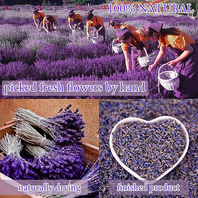 20 Bags Dried Flowers,100% Natural Dried Flowers Herbs Kit for Soap Making, DIY Candle Making,Bath - Include Rose Petals,Lavender,Don't Forget Me,Lilium,Jasmine,Rosebudsand More