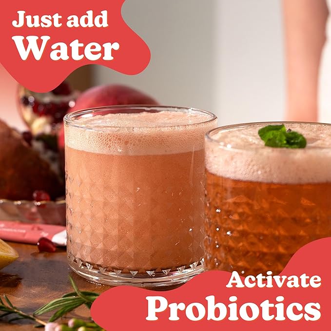 DALAMHARI Kombucha Powder | Schisandra Berry Omija 20T | Kombucha Drink Probiotic Soda Urban Kombucha Synergy Scoby Kombucha Starter Kit Adaptogen Drink Health Ade Kombucha Tea Bubbly