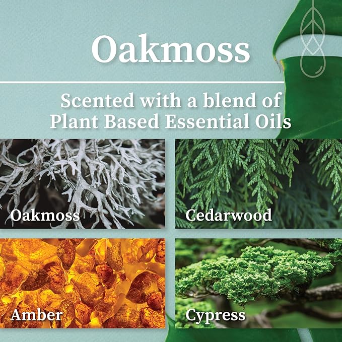 Hemlock Park Crackling Wood Wick Candle Handcrafted with Natural Coconut Wax (Standard 8 oz, Oakmoss)