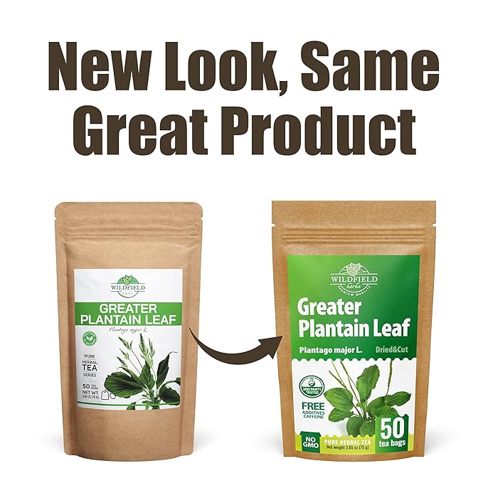 50 Bags Broadleaf Plantain Leaf Herb Tea (Plantago Majoris Folia) Plantain Leaves Tea - 50 Count 1.5 g Bags Llanten