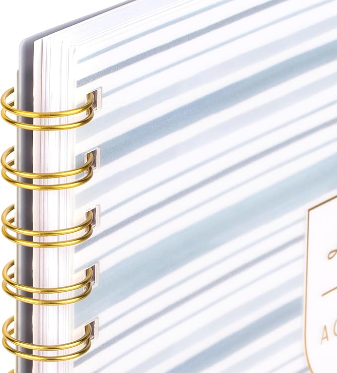 Cambridge 2026 Planner by Leah Bisch, Weekly & Monthly, 8.5" x 11", Large, Stripe (LB42-905-26)