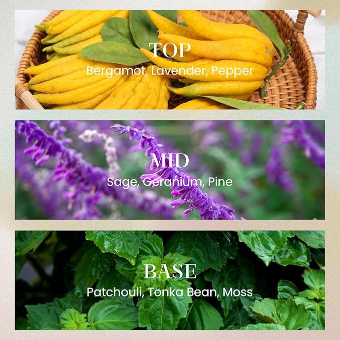 M&SENSE 6.3 oz Large Reed Diffuser Set | Midsummer Evening Scent Oil Diffuser with Sticks | Hotel Collection Non-Toxic Essential Oil |for Bedroom Bathroom Living Room