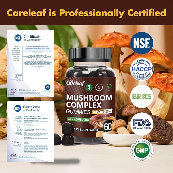 9 in 1 Mushroom Gummies with Lion's Mane for Focus Supplement and Energy Supplements to Support Immune System De-Stress Boost Mood & Energy 60 Count Kombucha Flavor